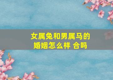 女属兔和男属马的婚姻怎么样 合吗